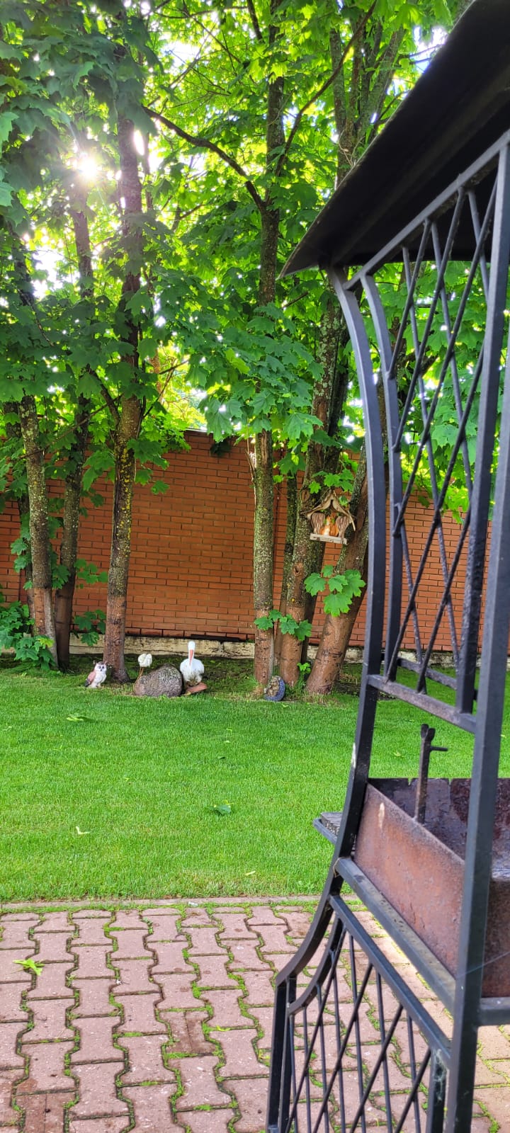 Фото Фроотель