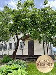 Cats Resort (Troitskaya Street, 50А), pet hotel