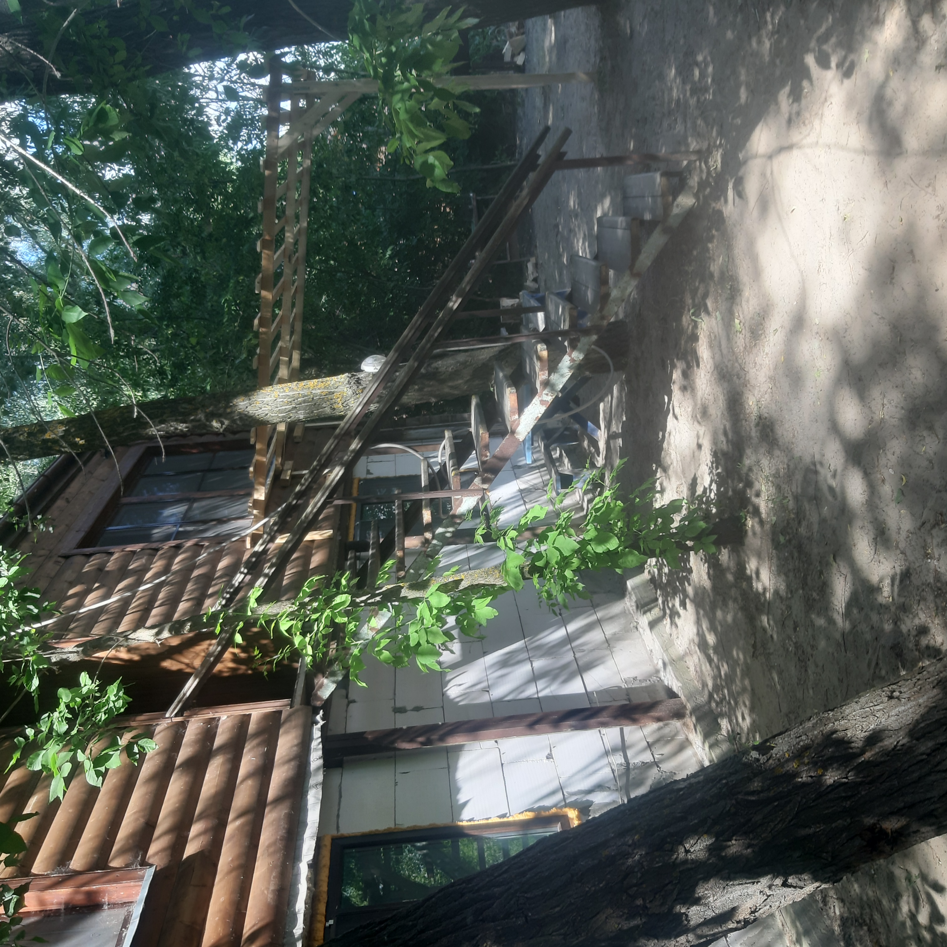 Фото Донская весна