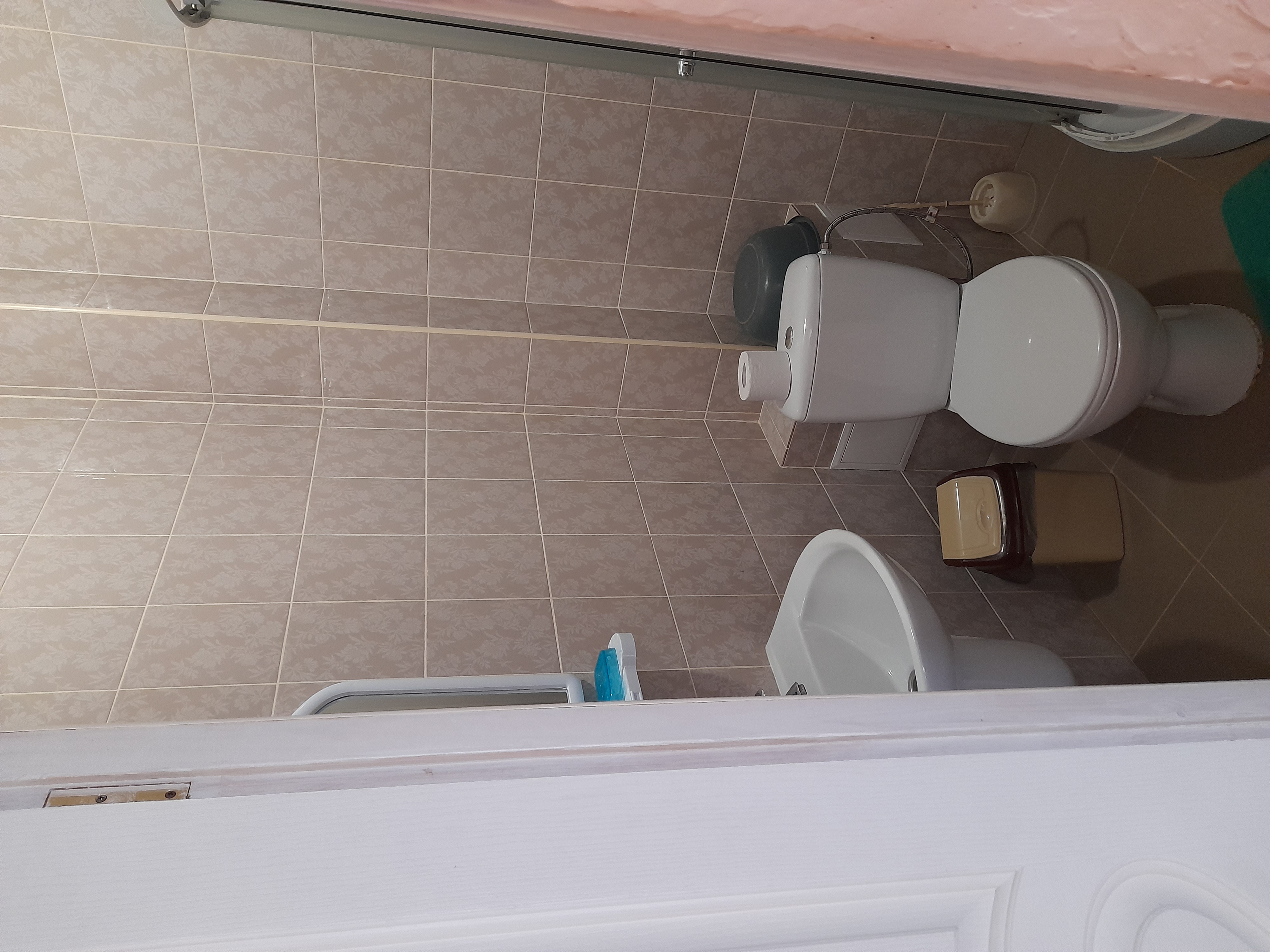 Фото Тетушка Сова