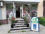 Палисадник (ул. Белинского, 47), магазин для садоводов в Нижнем Новгороде