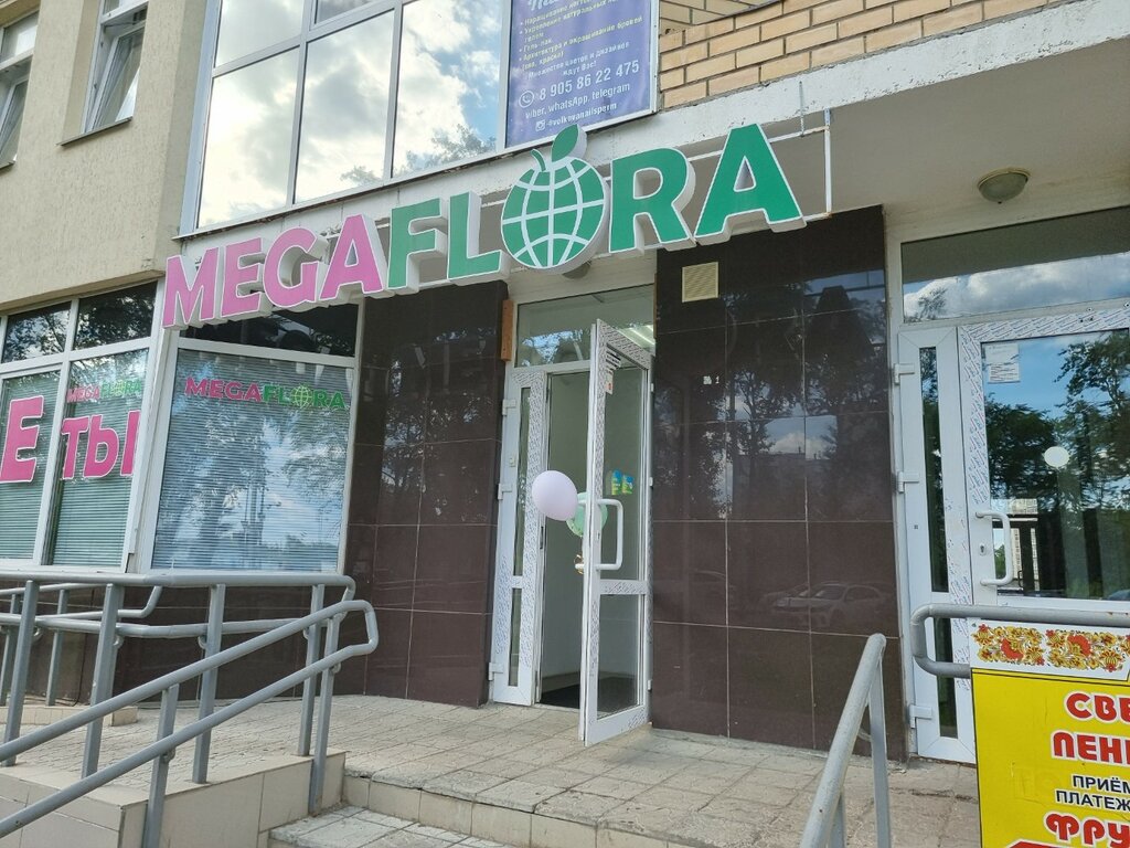 Flowers and bouquets delivery MegaFlora, Perm, photo