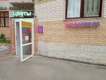Wildberries (Gakkelevskaya Street, 33к1), point of delivery