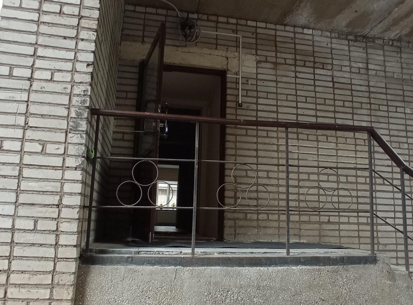 Фото Звездочка