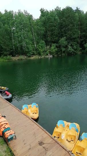 Фото Берёзка