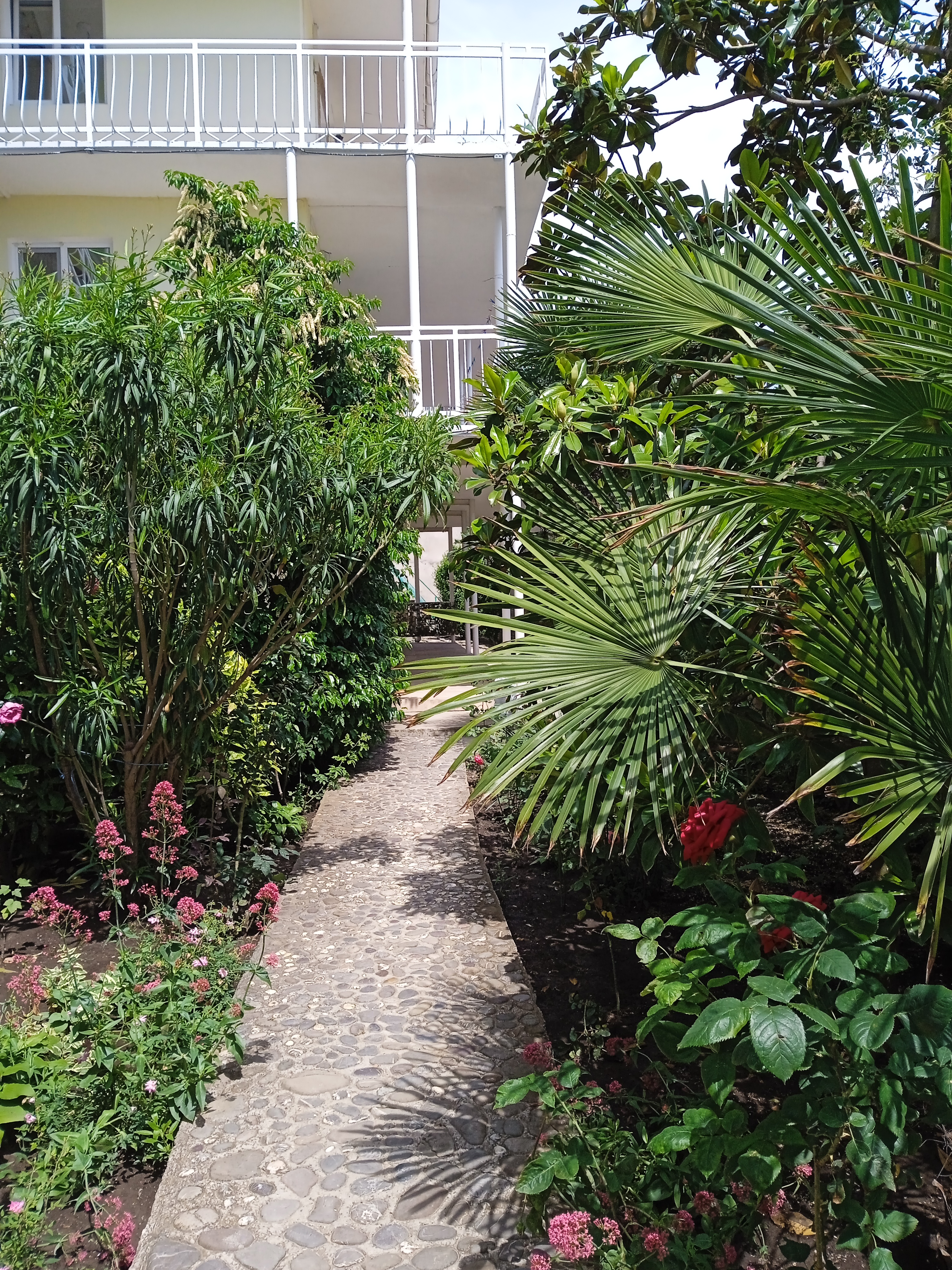 Фото Сон у моря