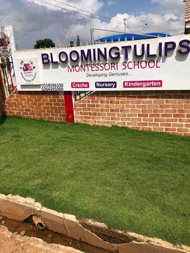 School Blooming Tulips Montessori, Earth, photo