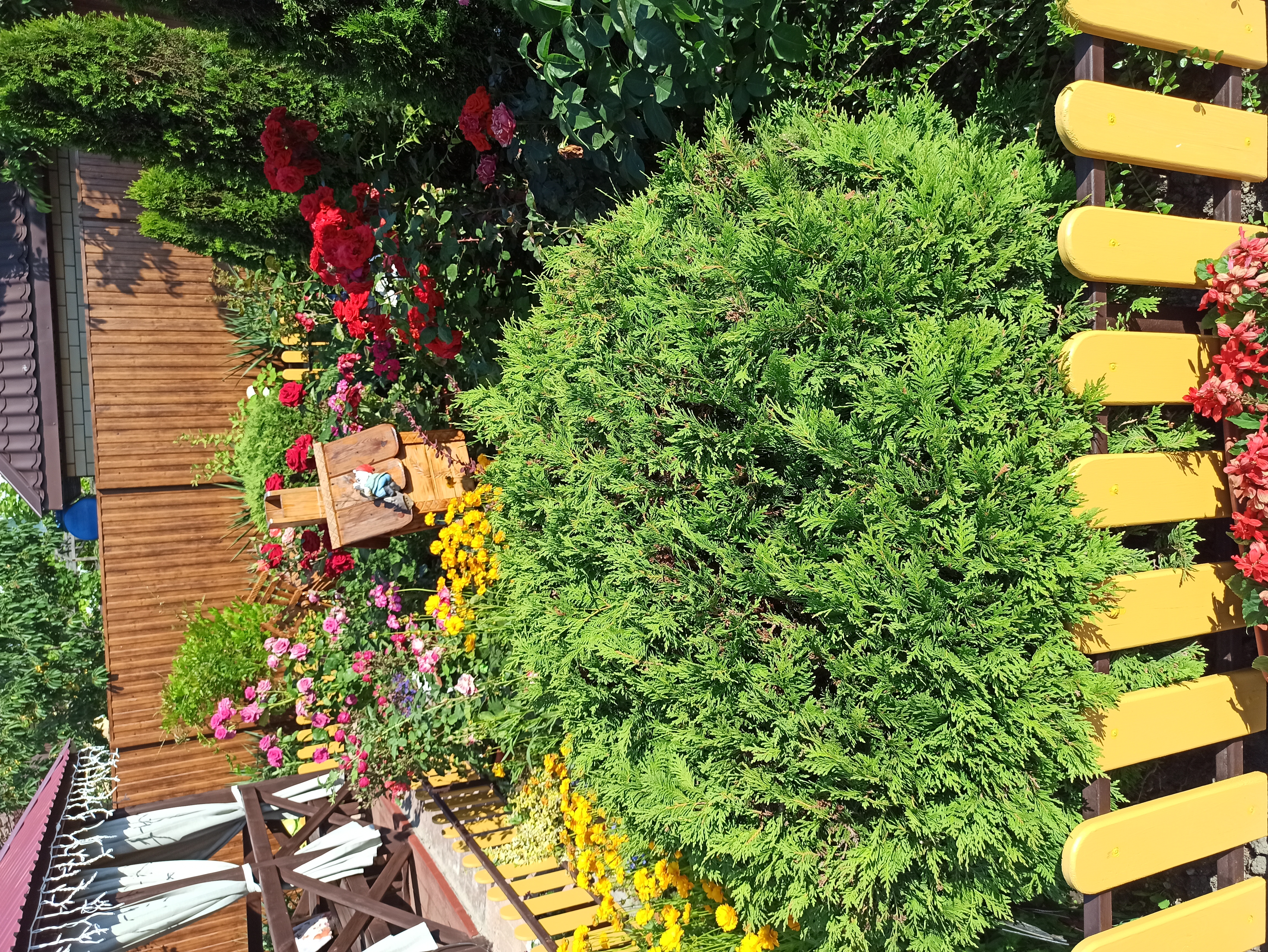 Фото Гранат