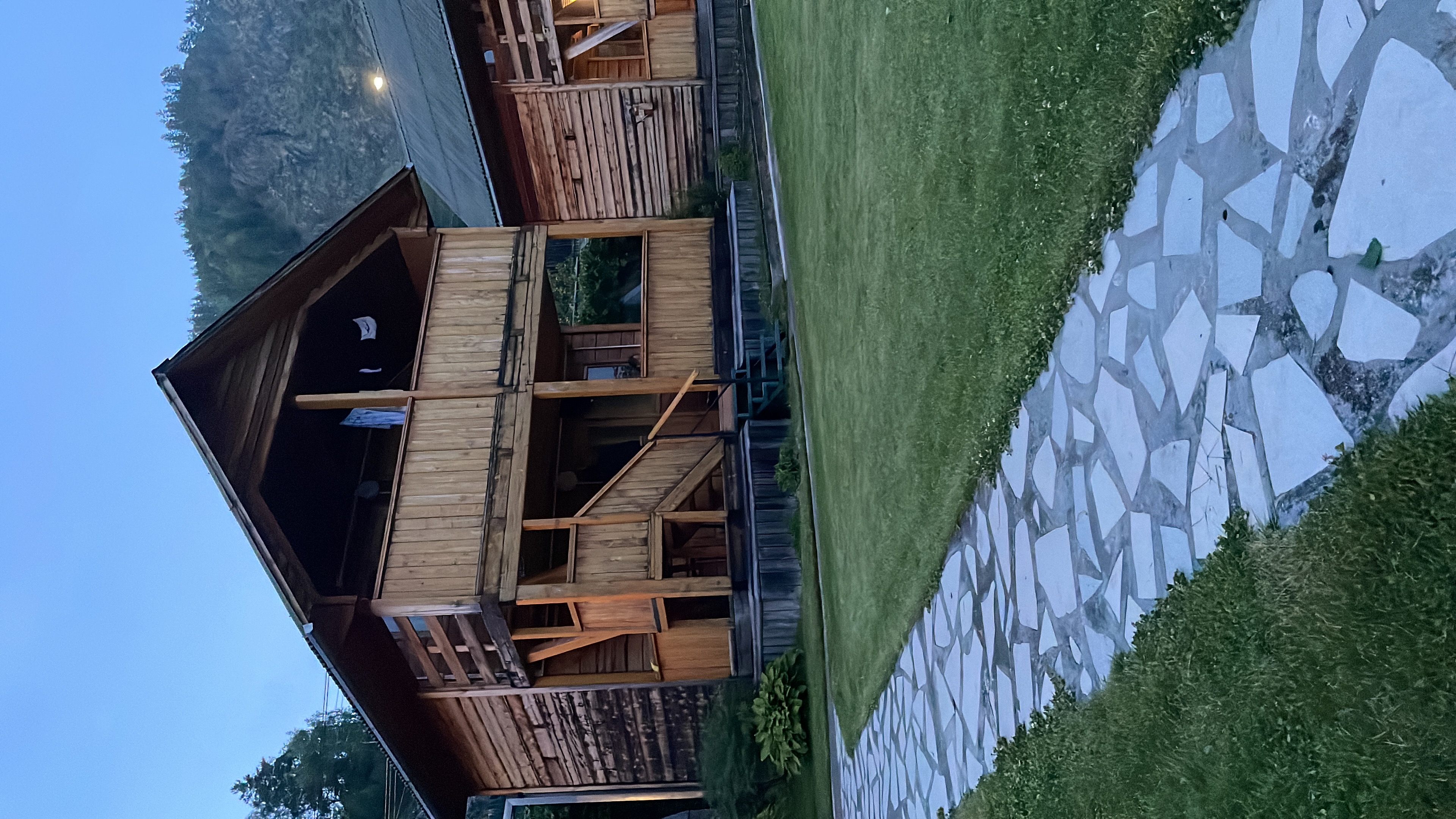 Фото Альбатрос