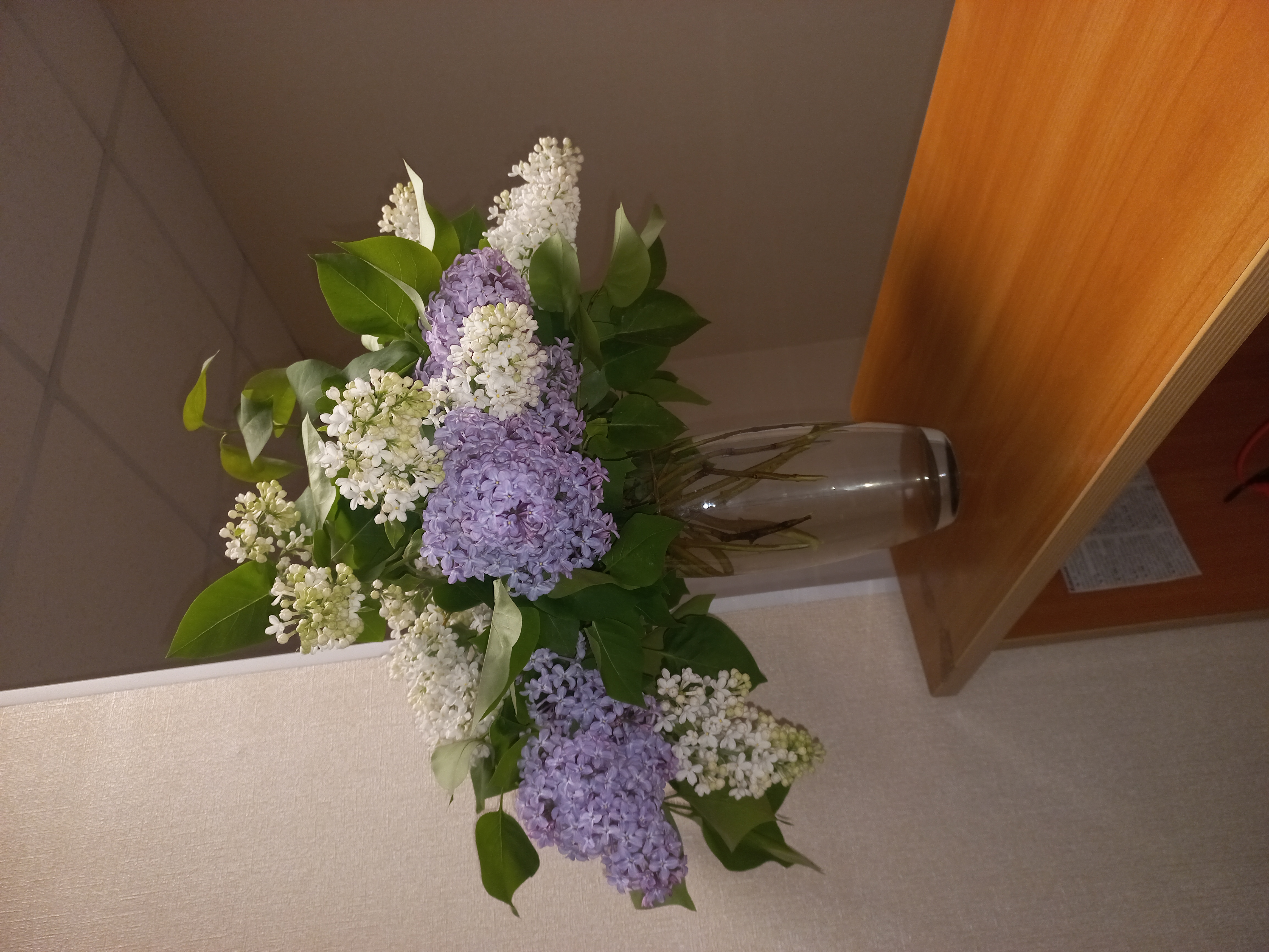 Фото Норд Хаус