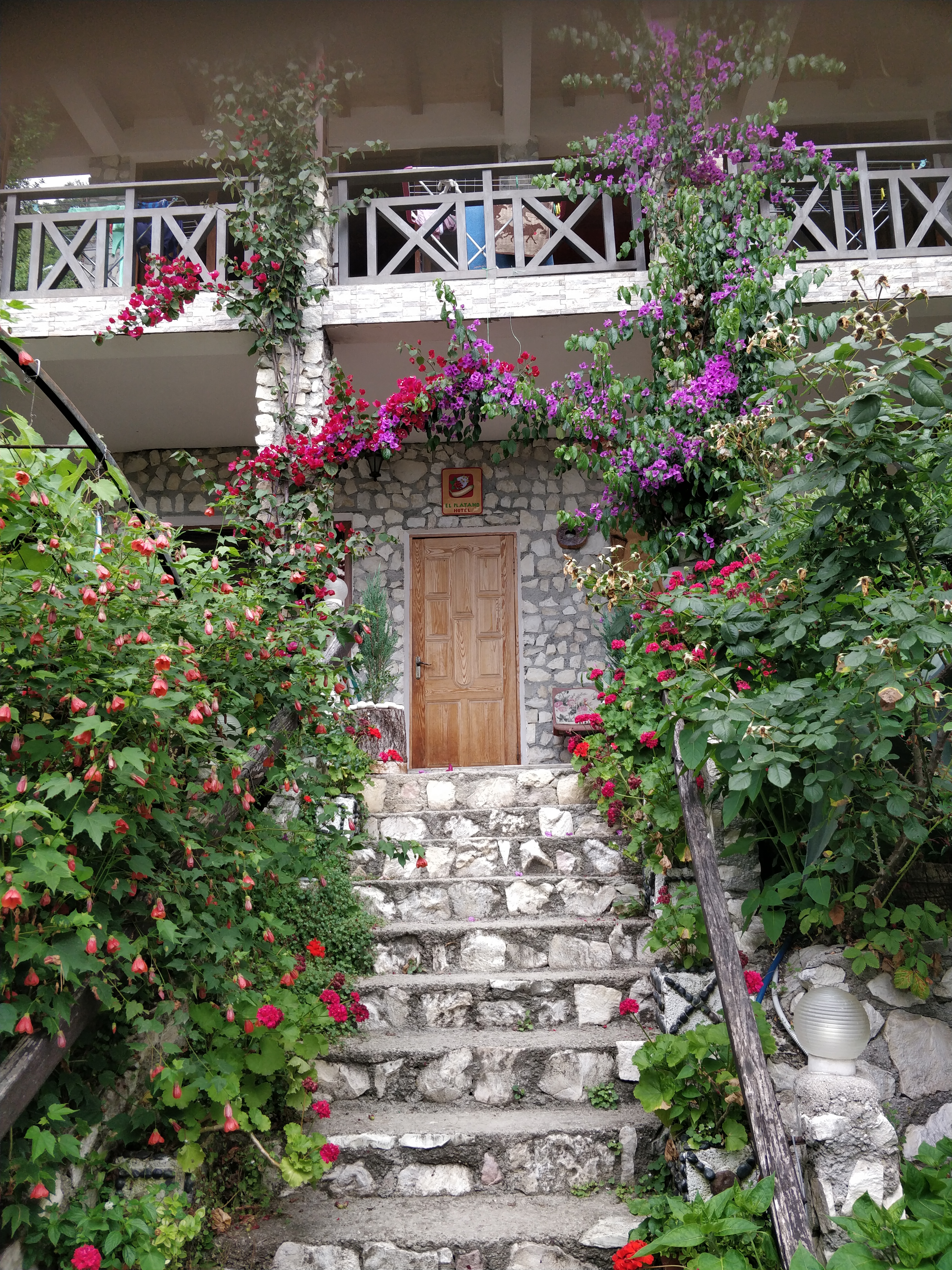 Фото Эль Платано