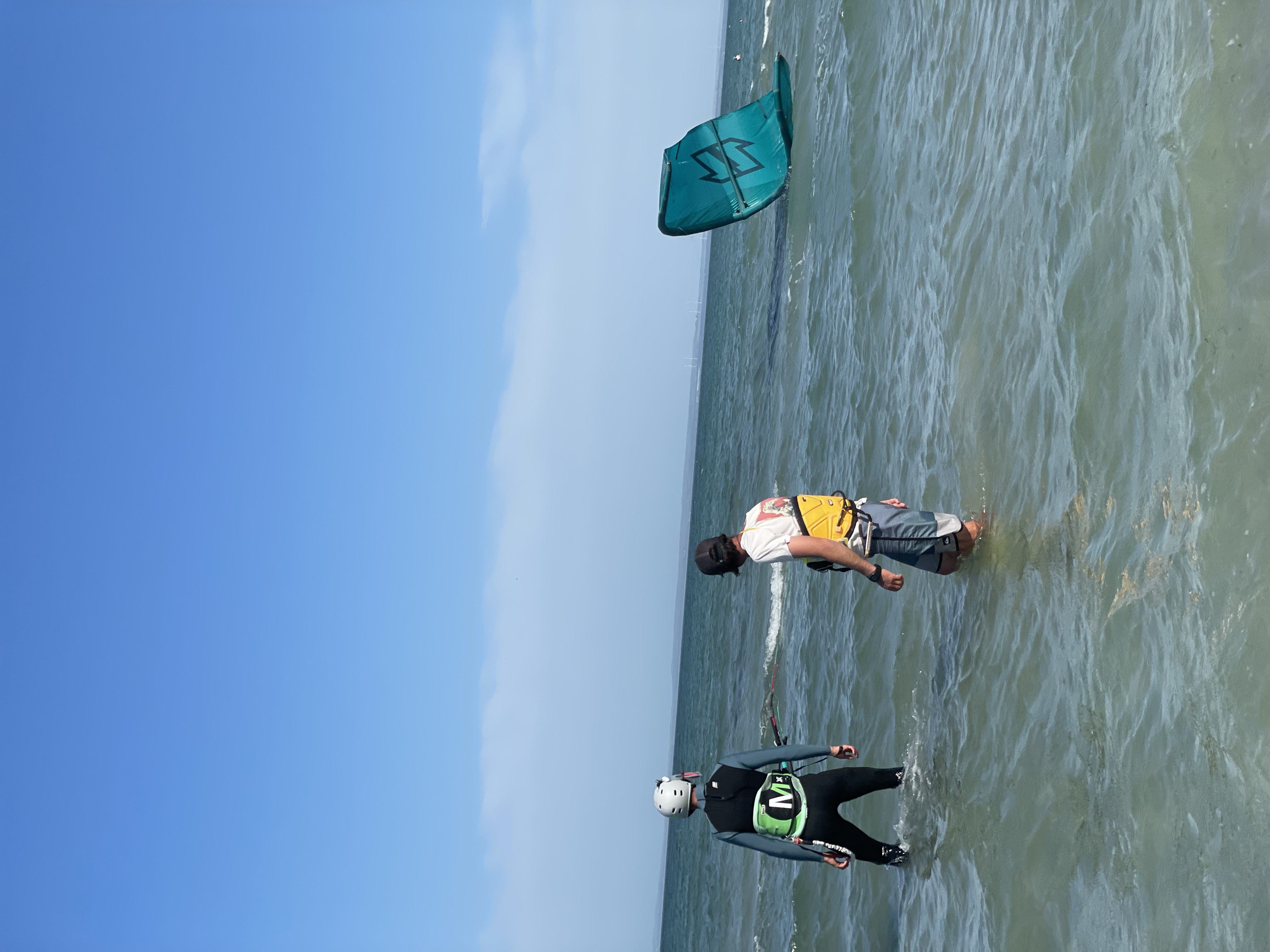 Фото Белый кролик