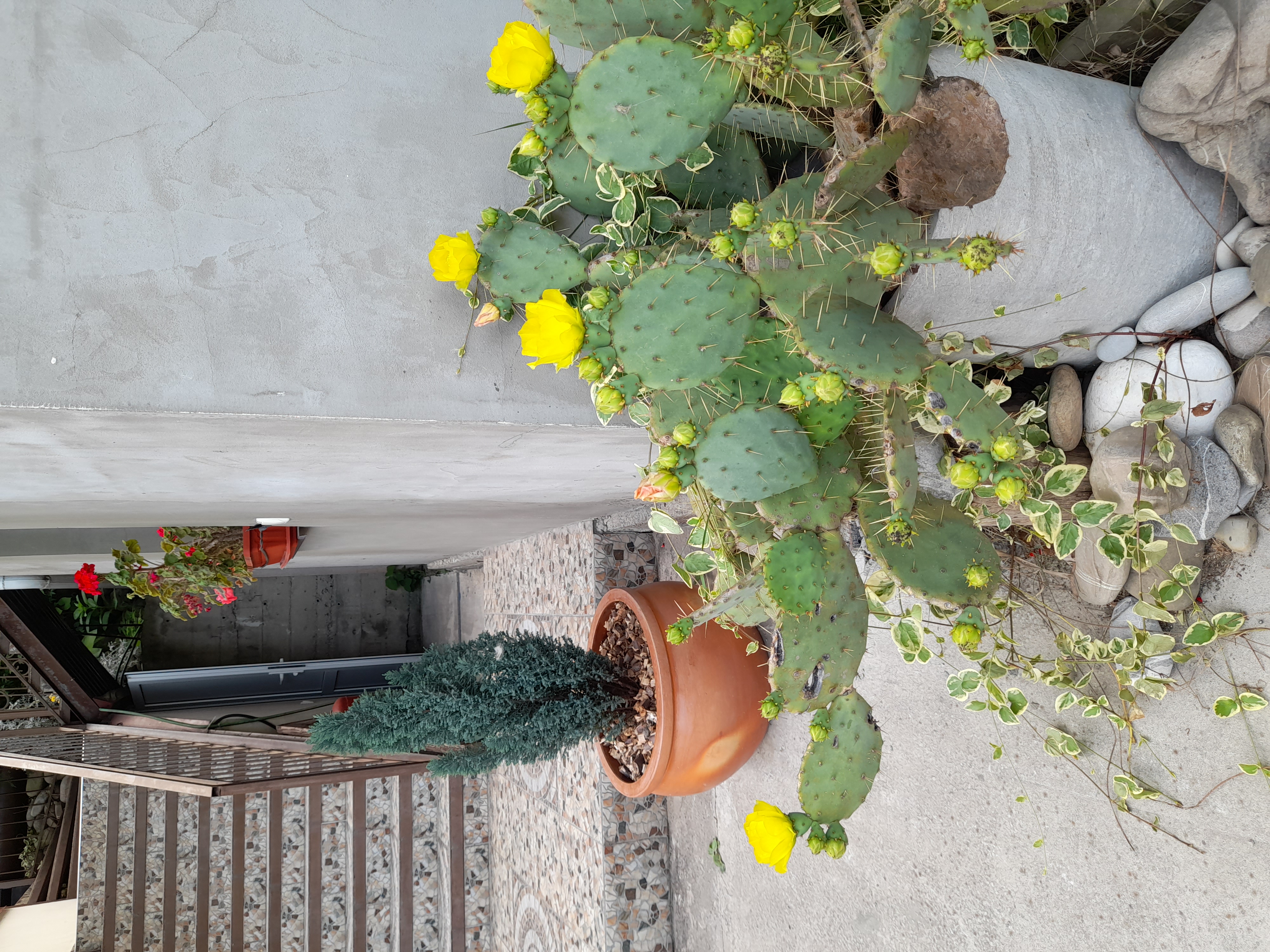 Фото Усадьба Верона