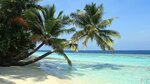 Slavatour (Chistopolskaya Street, 34), travel agency