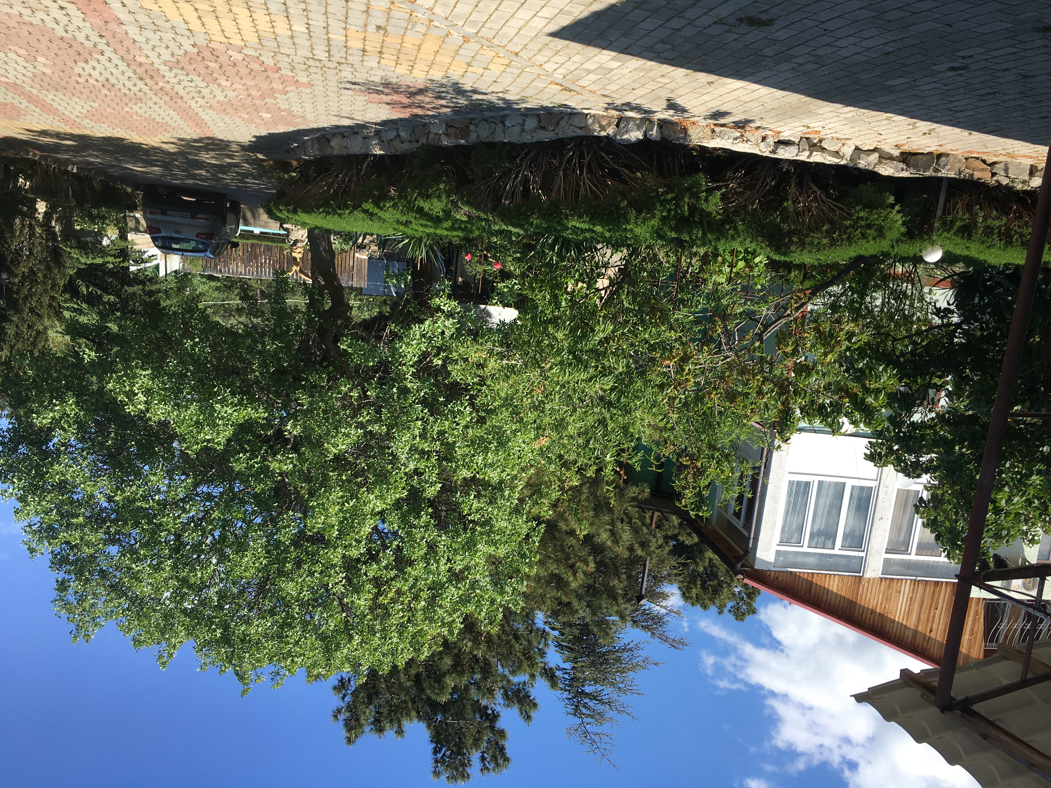 Фото Лесной уют