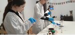 Next Level (ulitsa G.A. Ugryumova, 60), further education