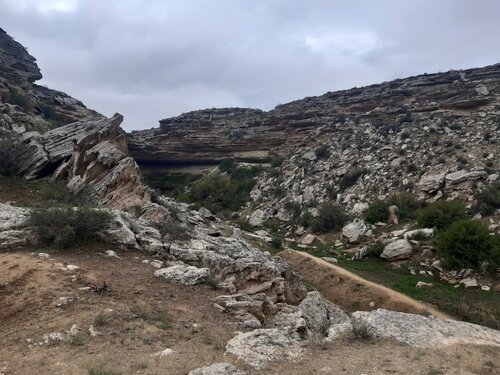 Азиялық жопа және киска