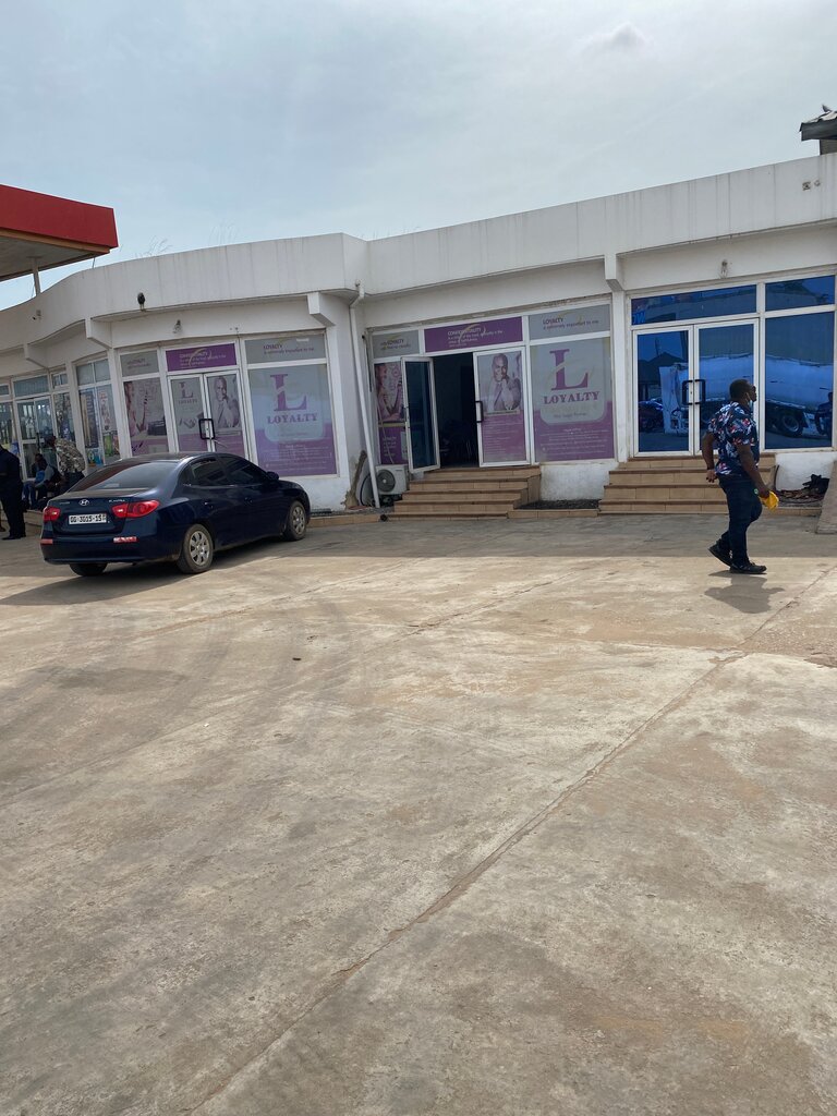 Insurance company Loyalty Insurance, Earth, photo