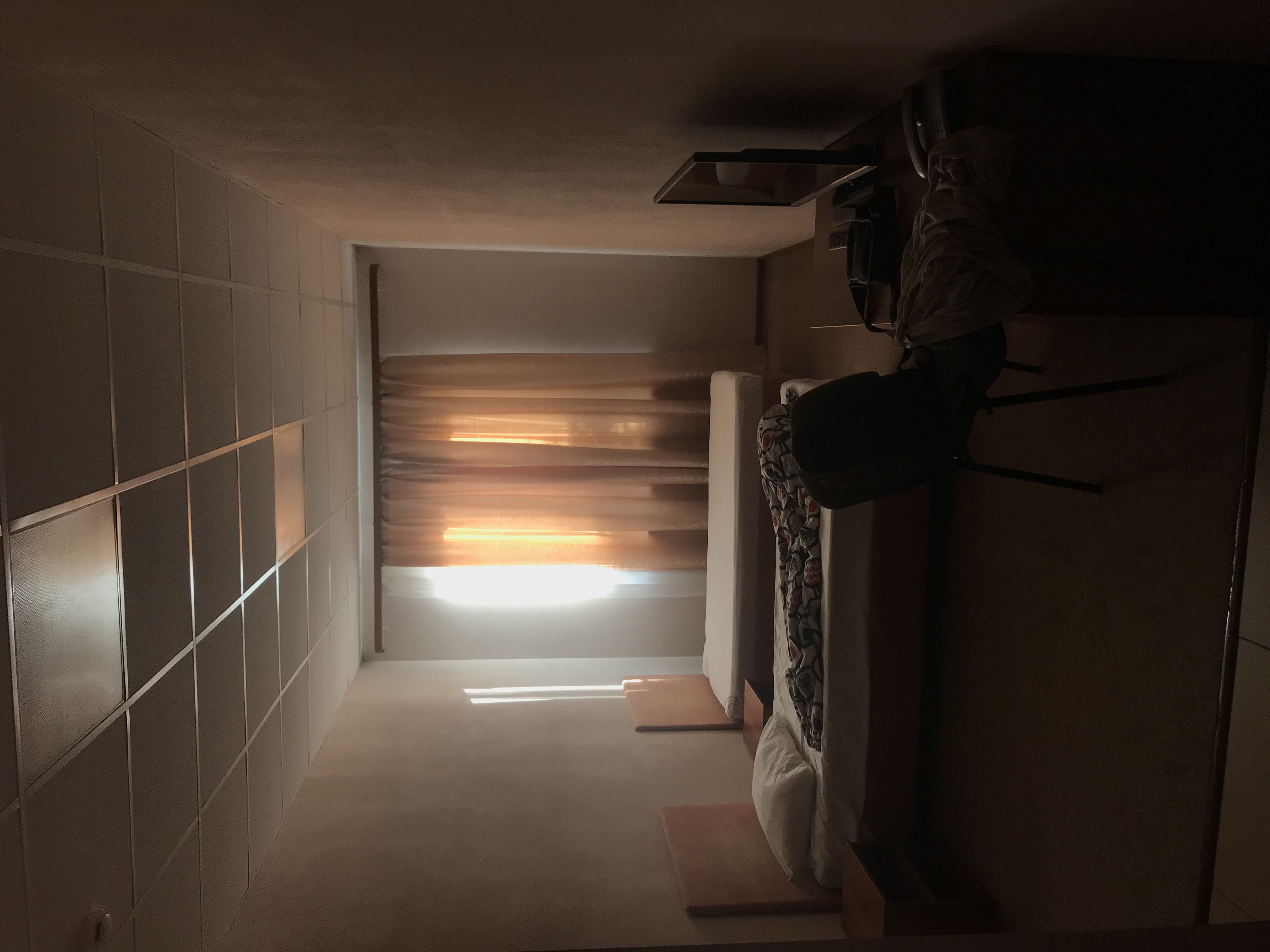 Фото Клевер