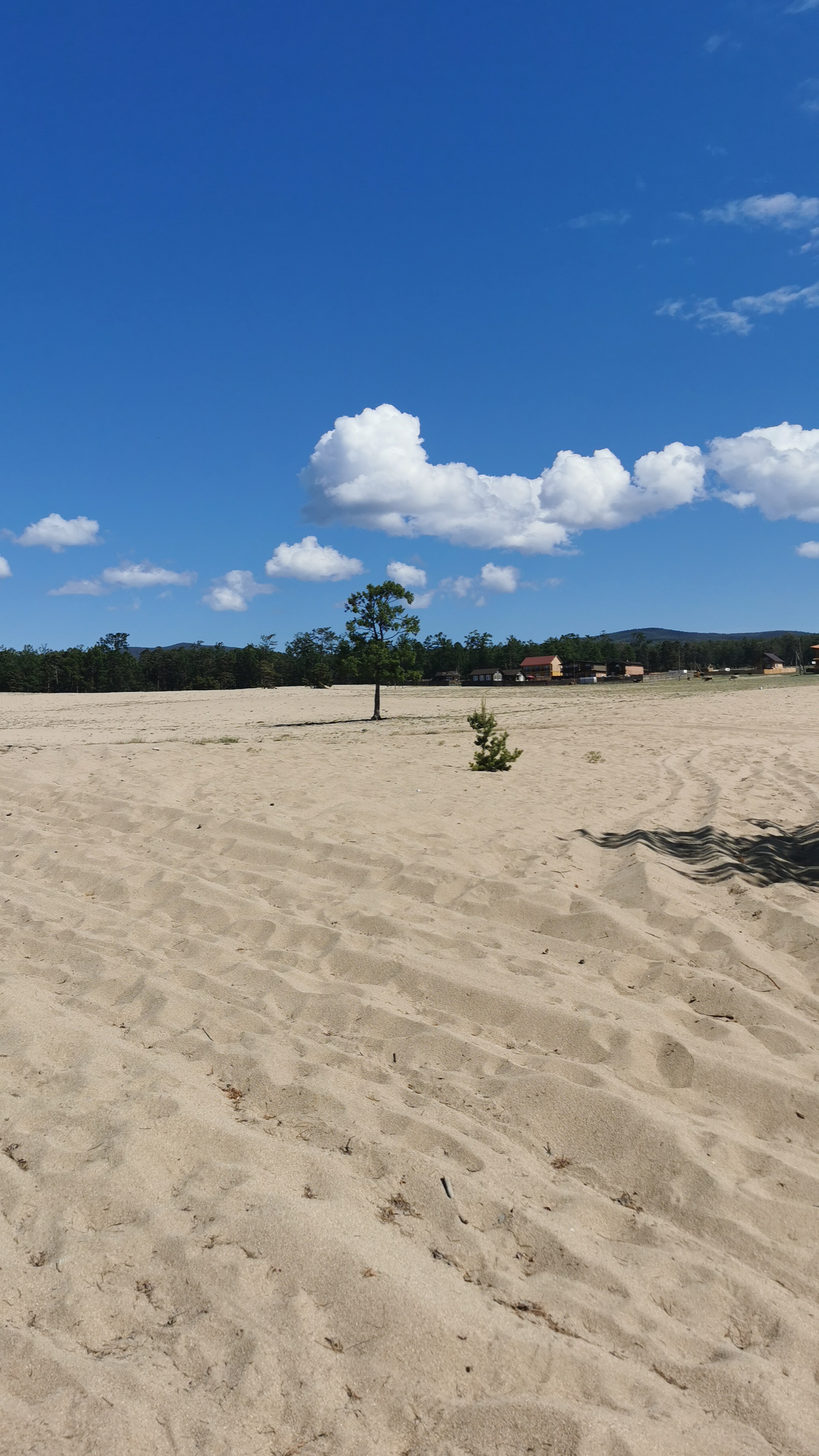 Фото Ольхон шоколад