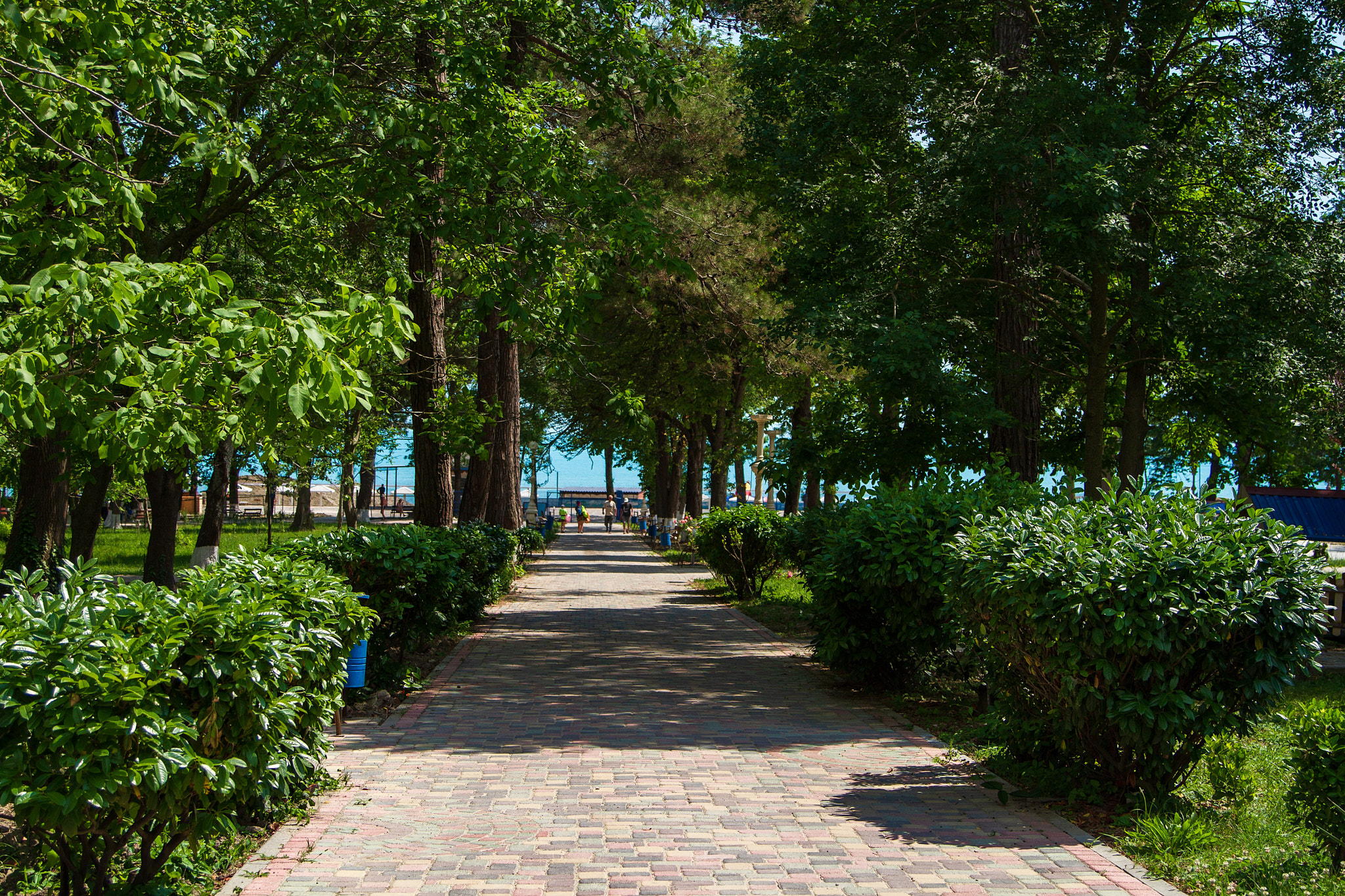 Фото Парк-отель Джубга