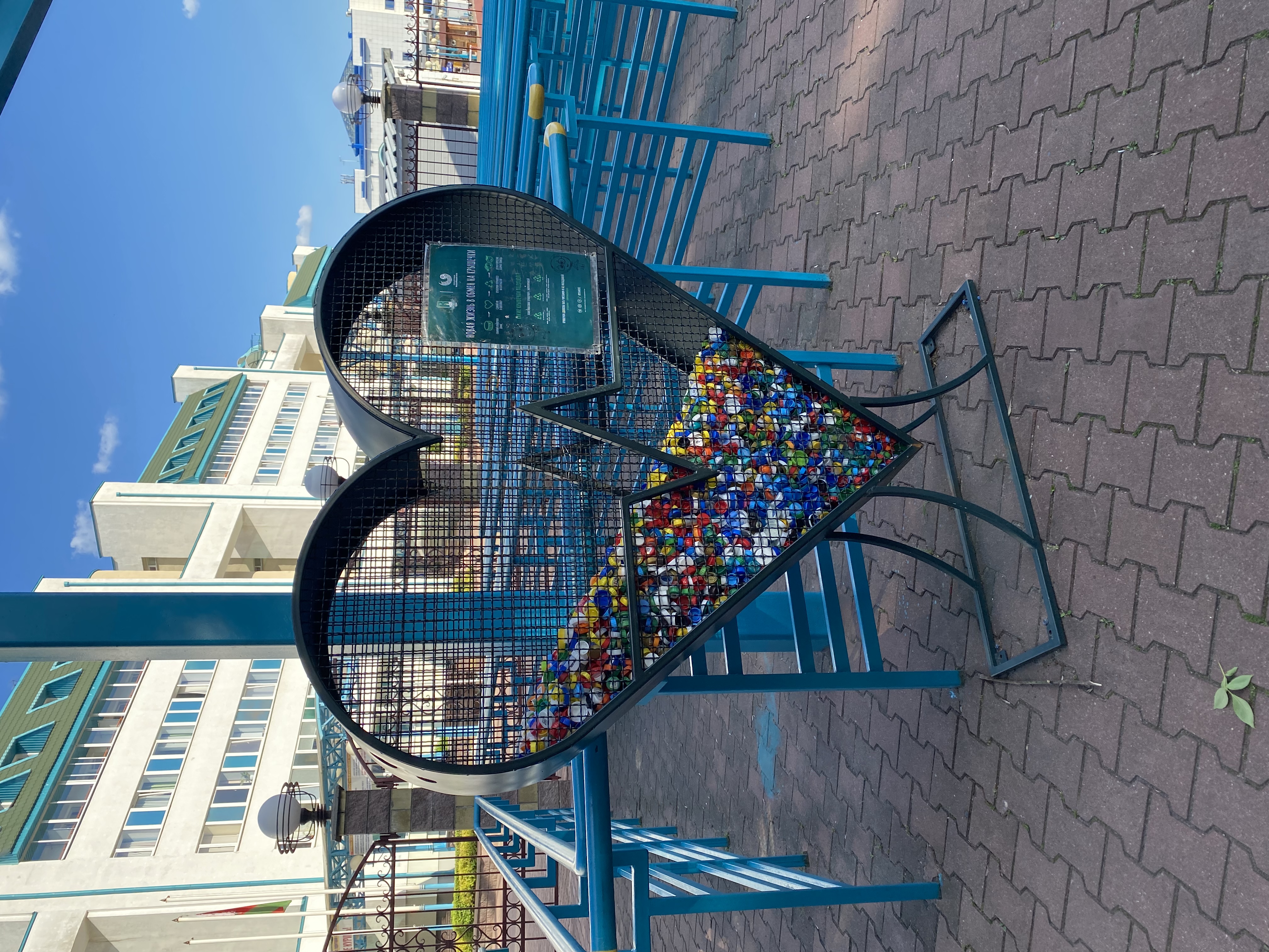 Фото Пять колец