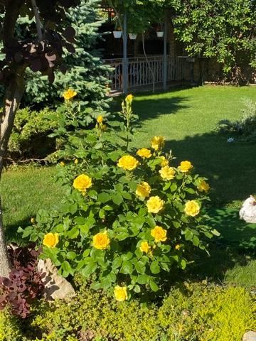 Фото ВИКТОРиЯ