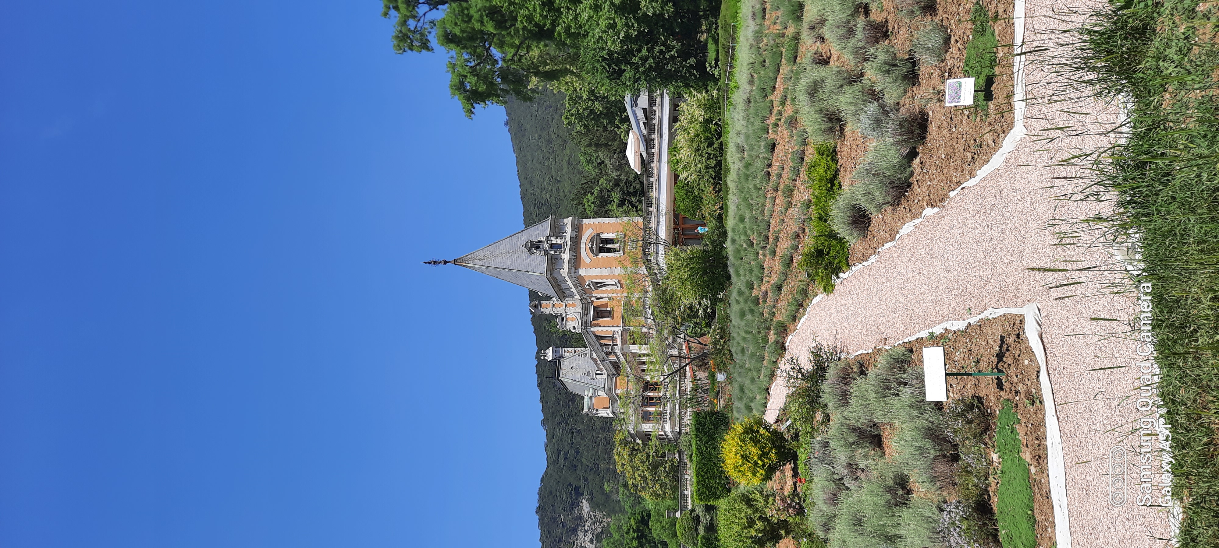 Фото Фамилия