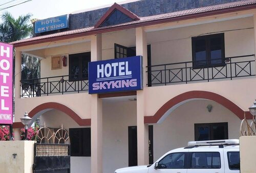 Гостиница Hotel Skyking