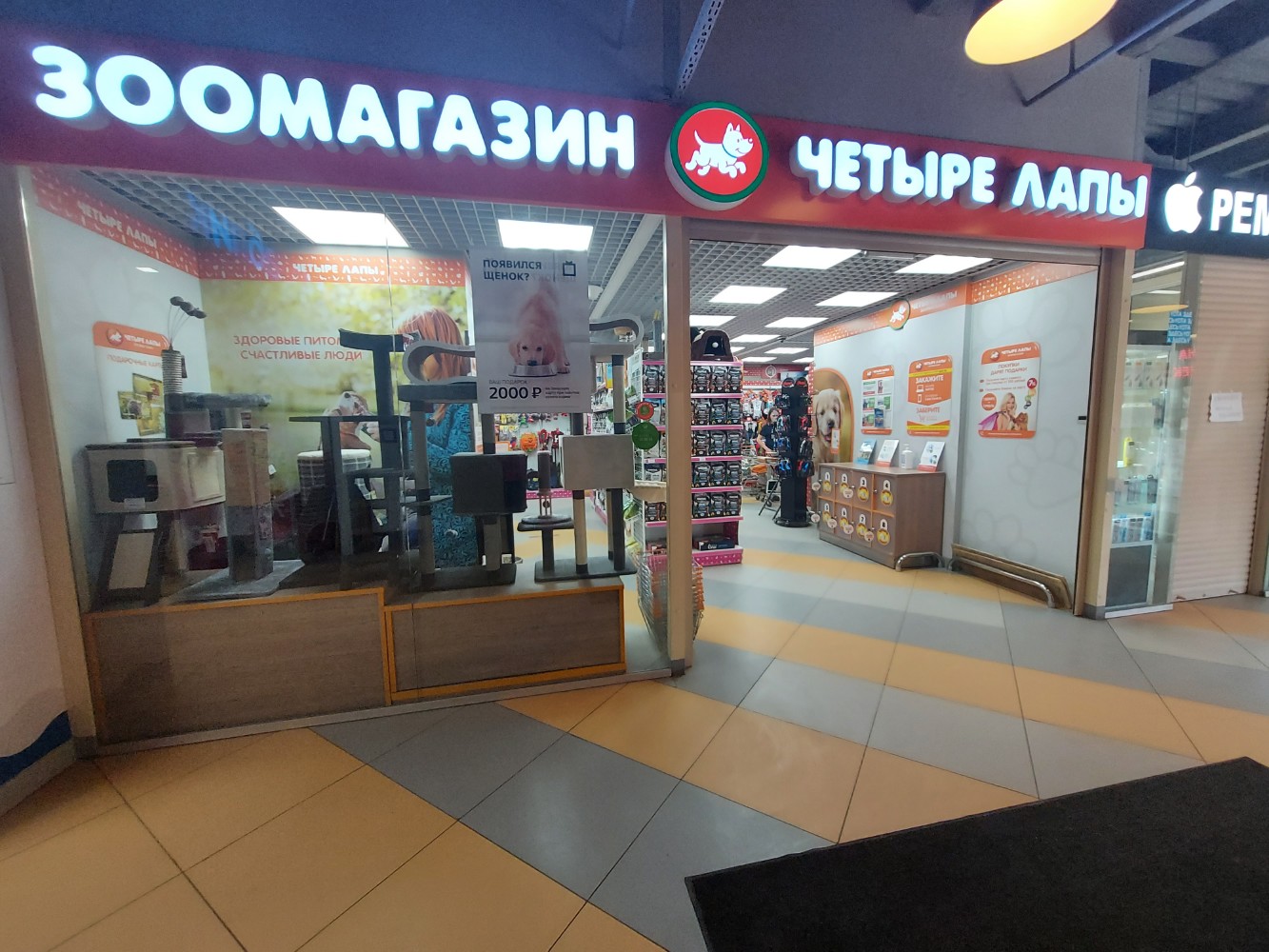 Четыре Лапы - фото 9