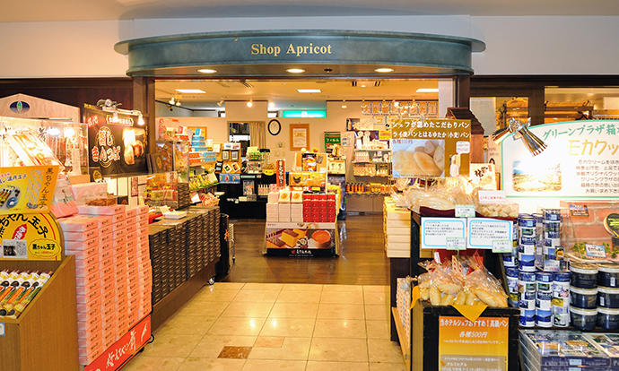 Фото Hotel Green Plaza Hakone