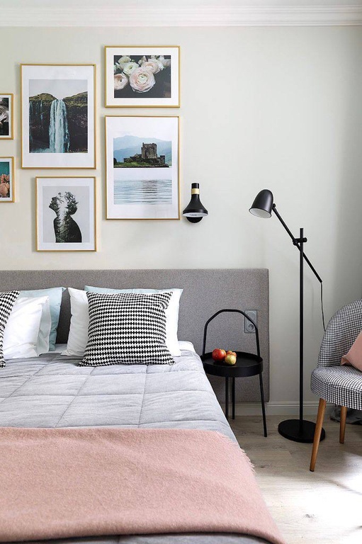 Фото Абрикосовое дерево Елагин