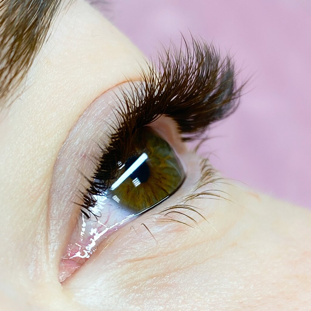 شريط حاجب العين Lash&Brow Bar Анастасии Максимовой ، سان بطرسبرغ، صورة