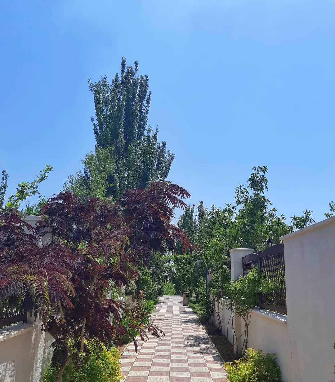 Фото Cross Resort