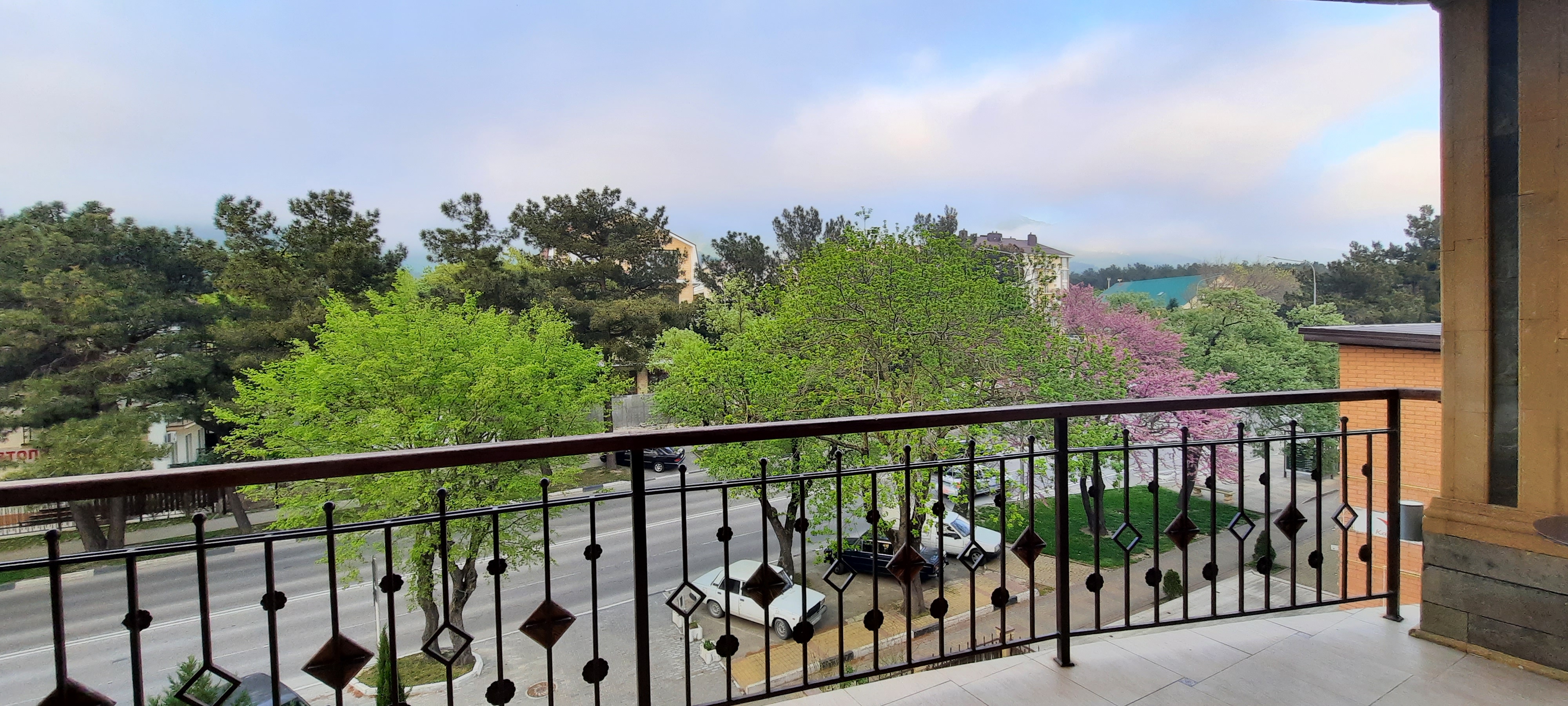 Фото Жар-птица