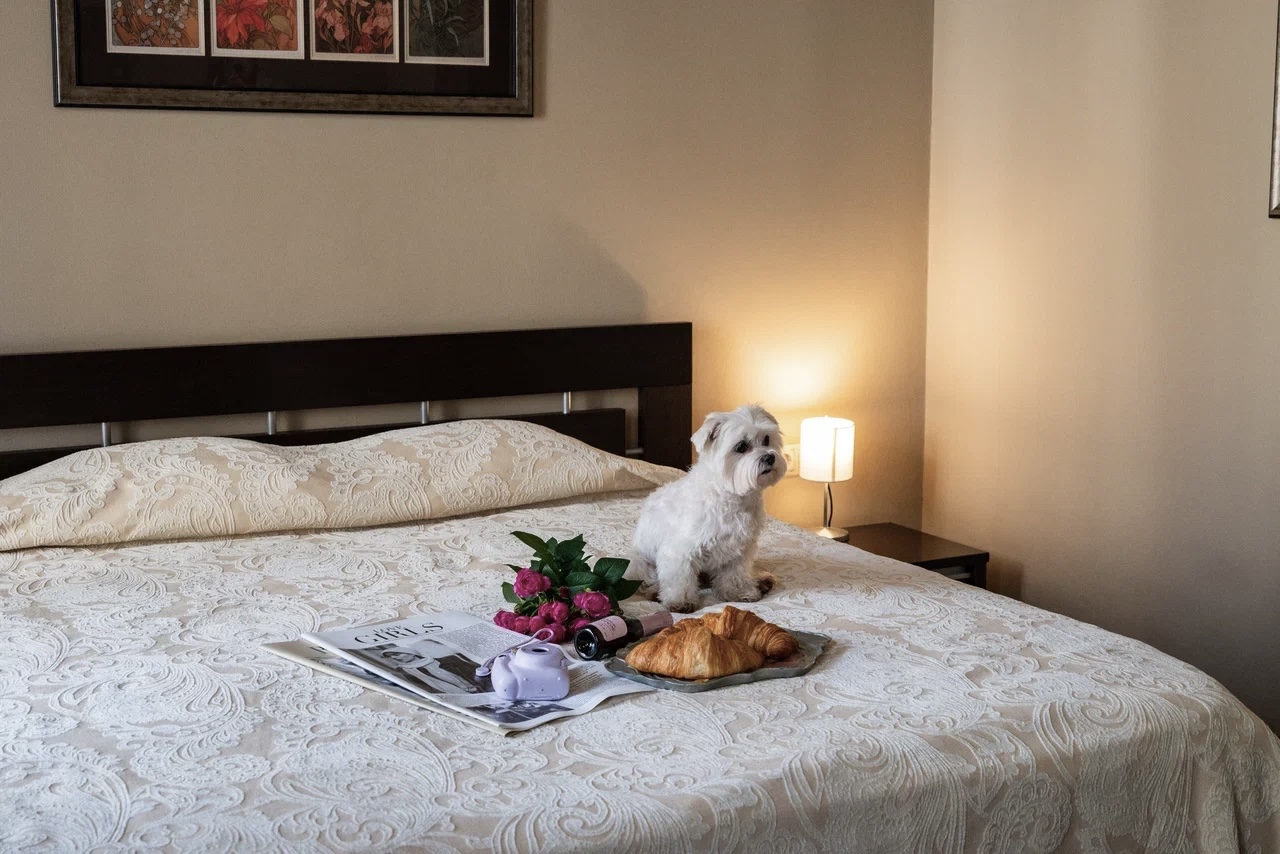 Фото Модерн