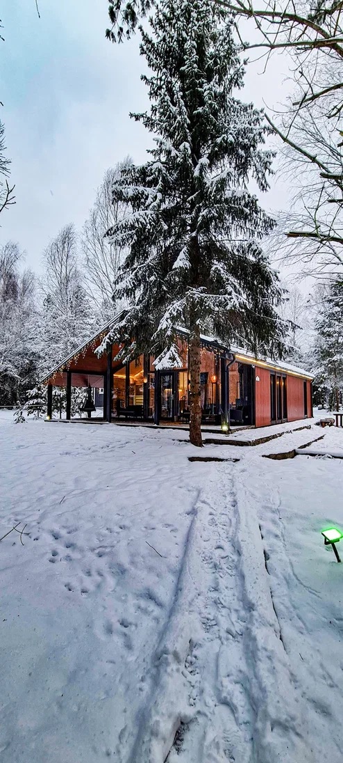 Фото Домик в соснах