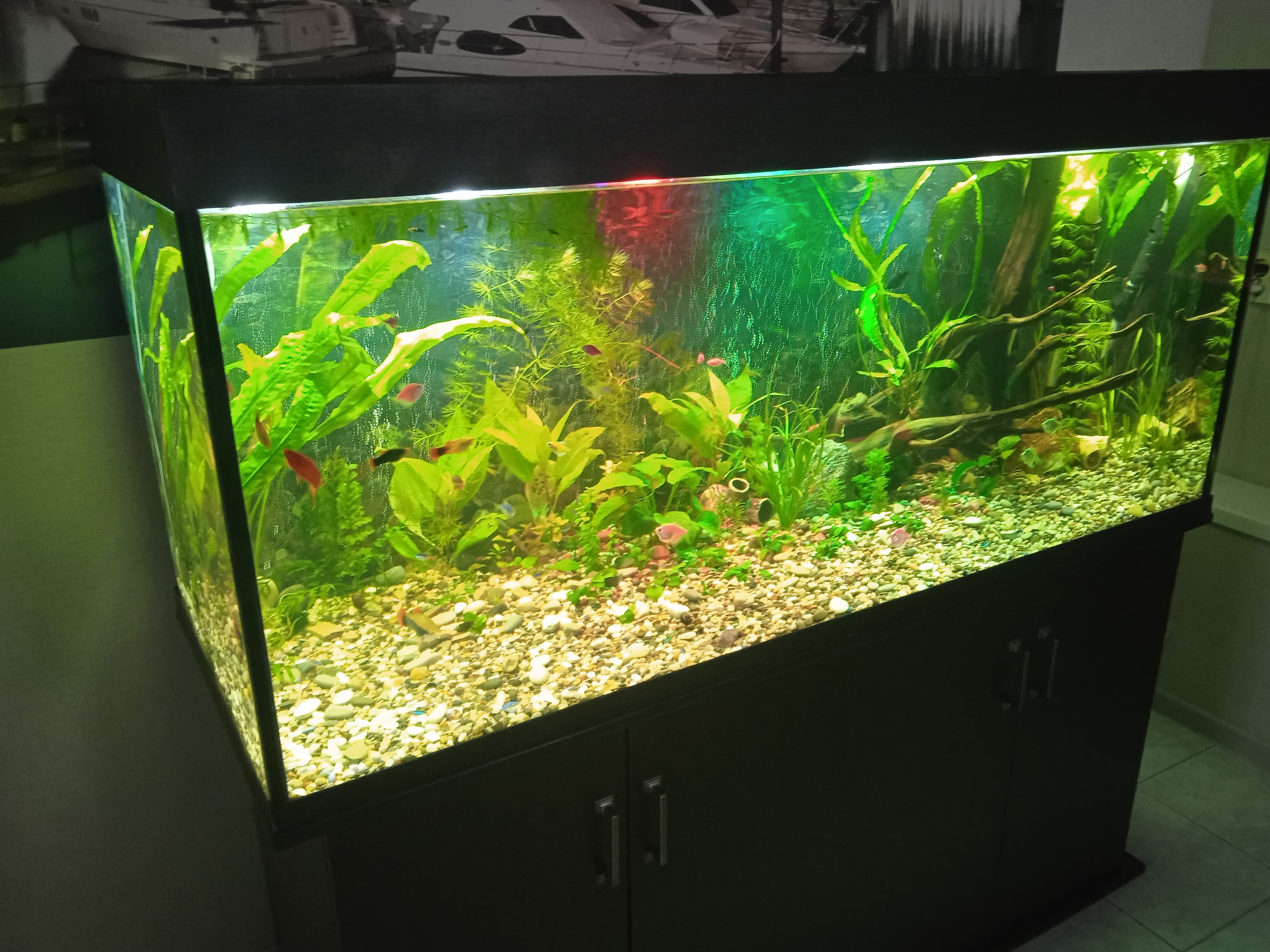 Фото Мини-гостиница на Ветеранов Октября 20