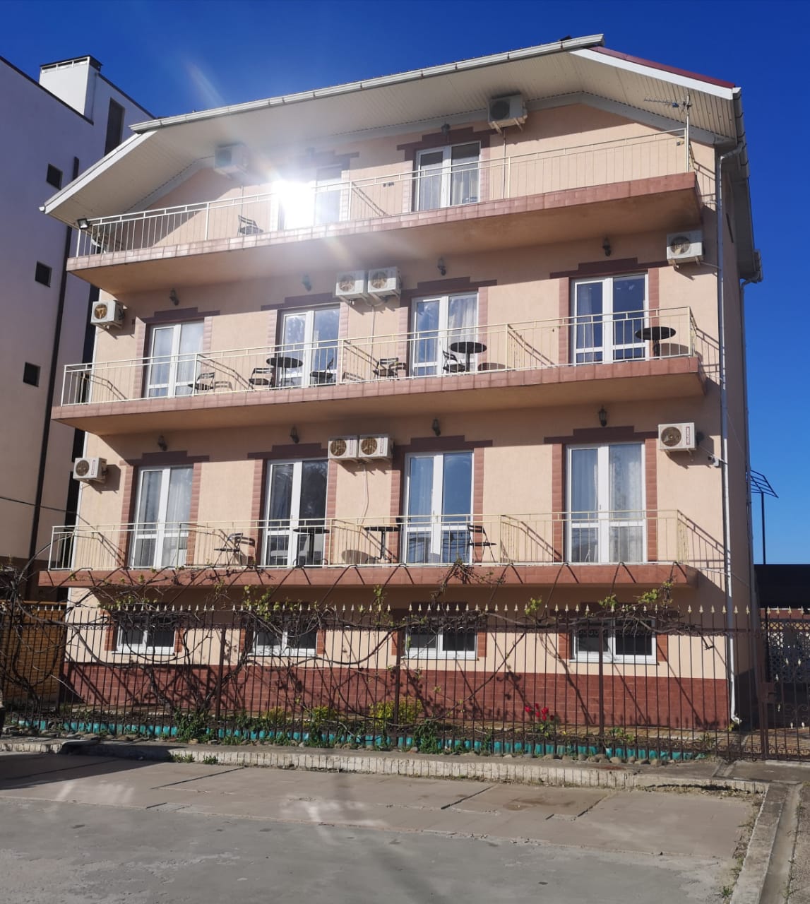 Фото Магнолия