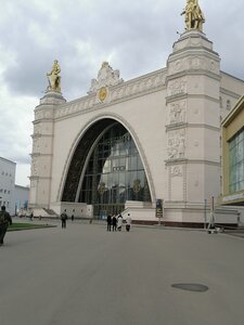 Южный порт