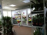 Мир Цветов (просп. имени Ленина, 67А), магазин цветов в Волжском