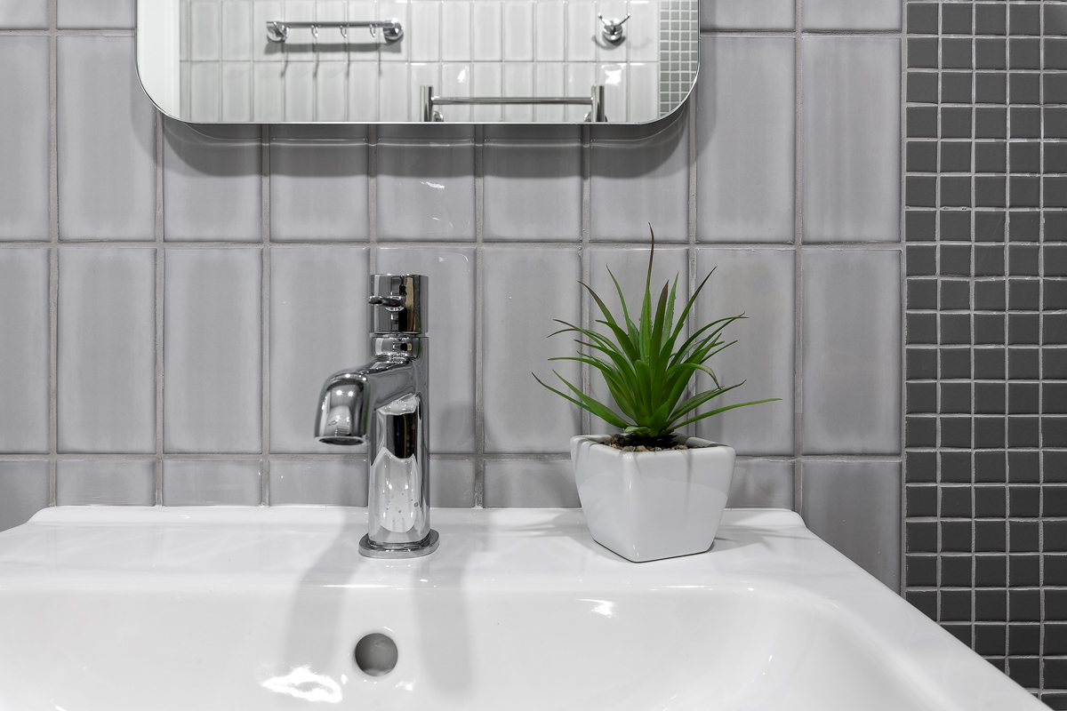 Фото ColorSpb Цветочный дом