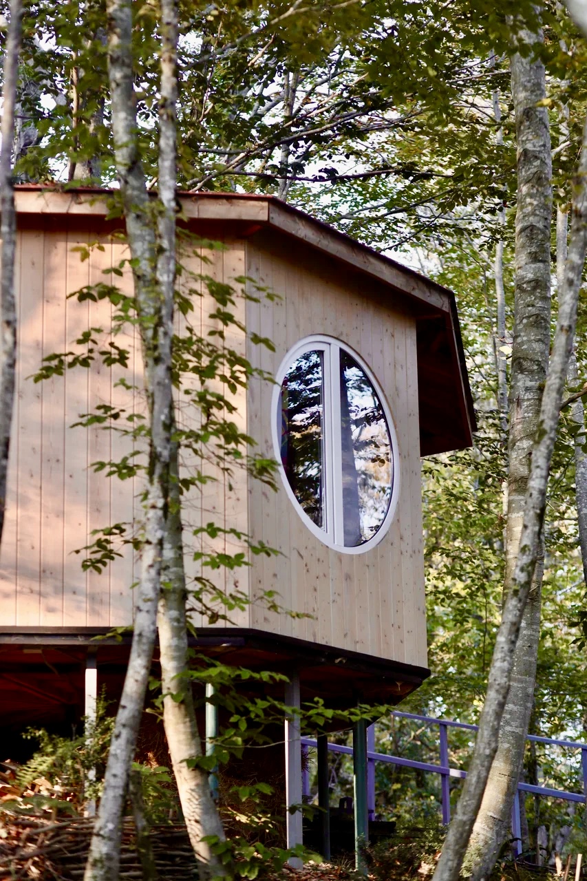 Фото Пермапарк