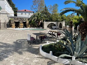 Золотая пальма