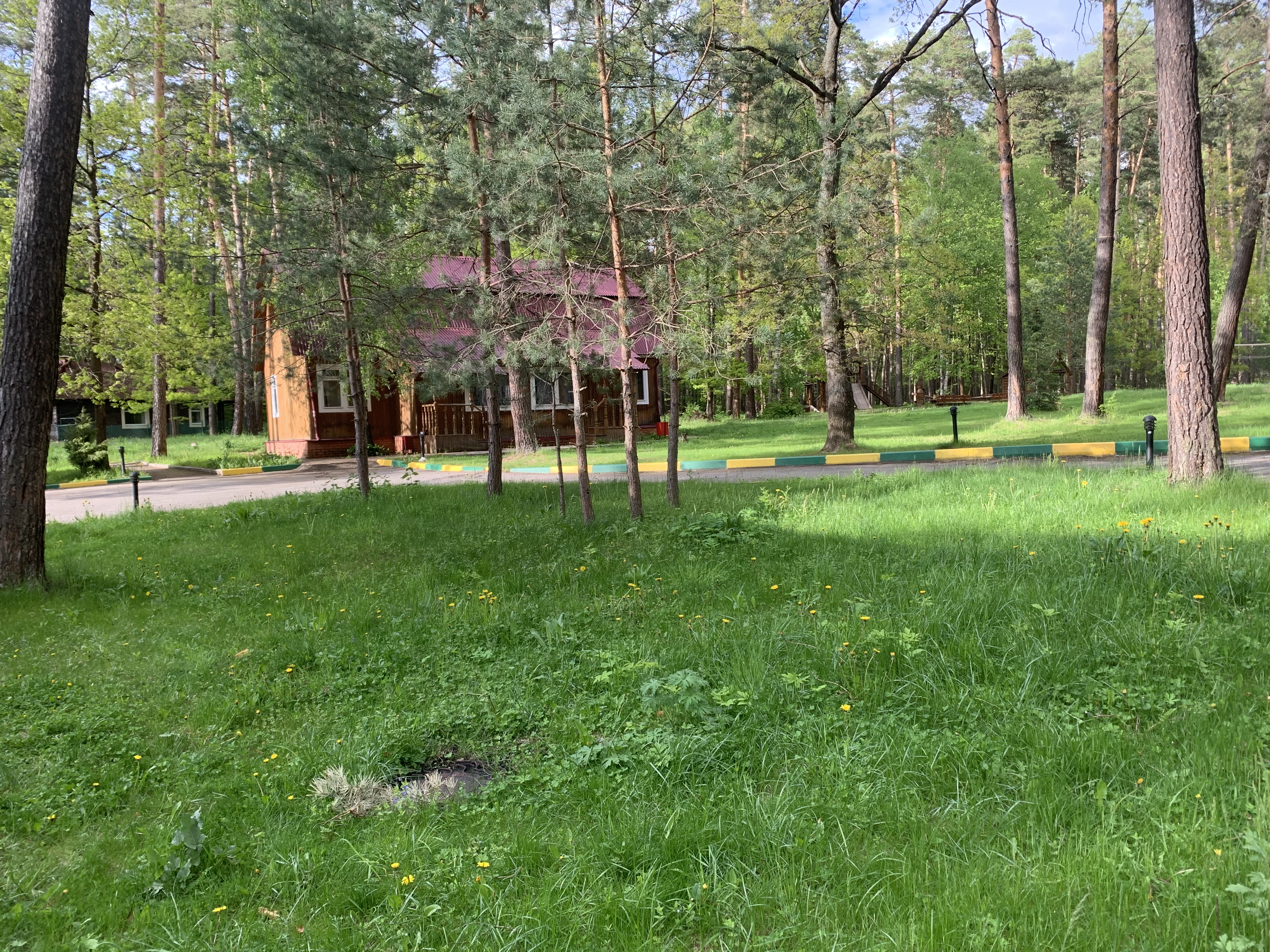 Фото Премьера