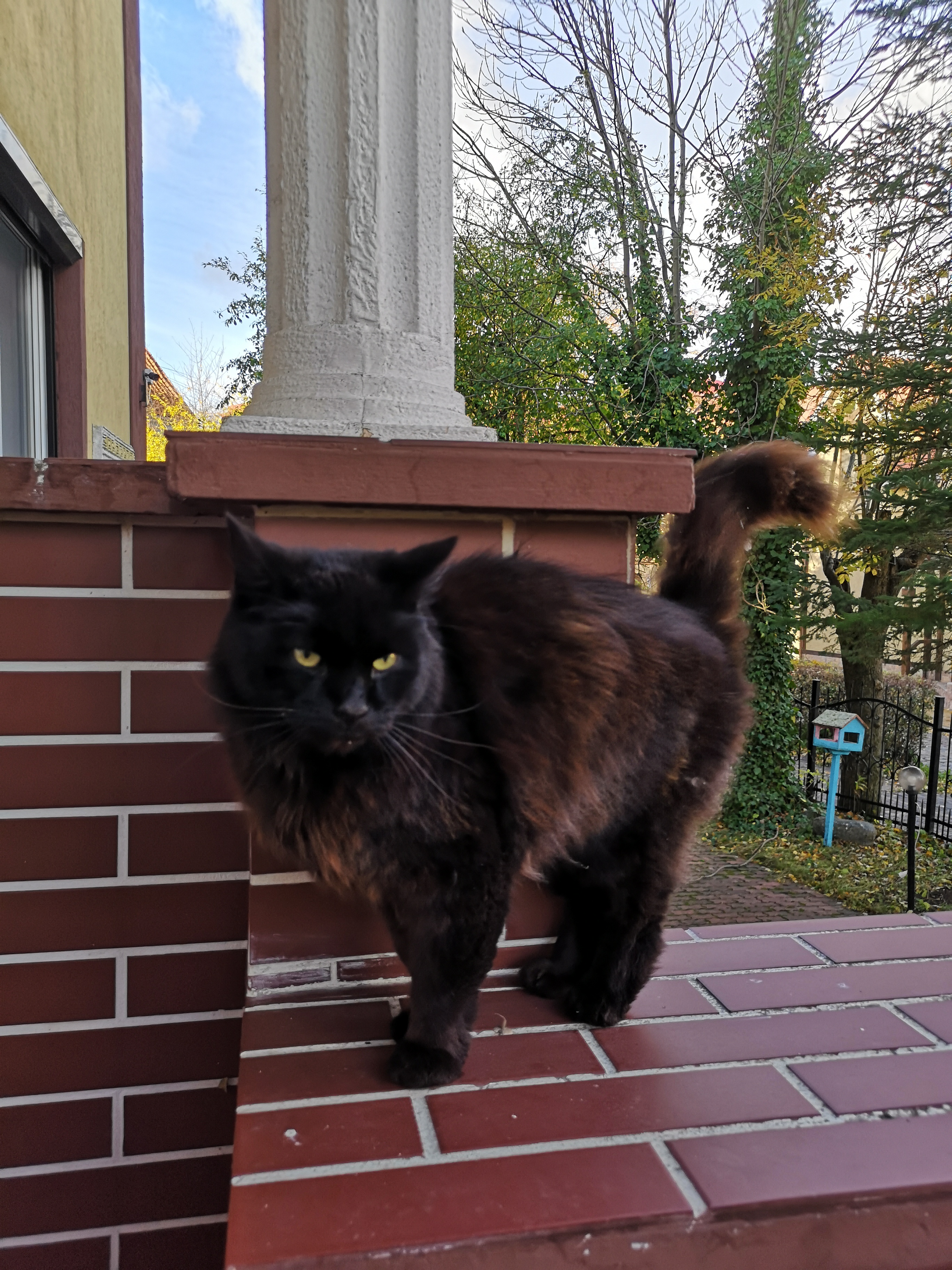 Фото Кранц отель