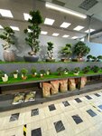 LuckyGreen (Vernadskogo Avenue, 105), landscaping of premises