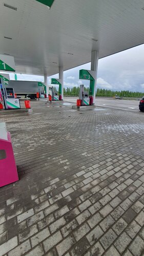 محطة وقود Башнефть ، مقاطعة أورينبورغ، صورة