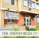 Умники (ulitsa Severnaya Zvezda, 7/1), children's developmental center