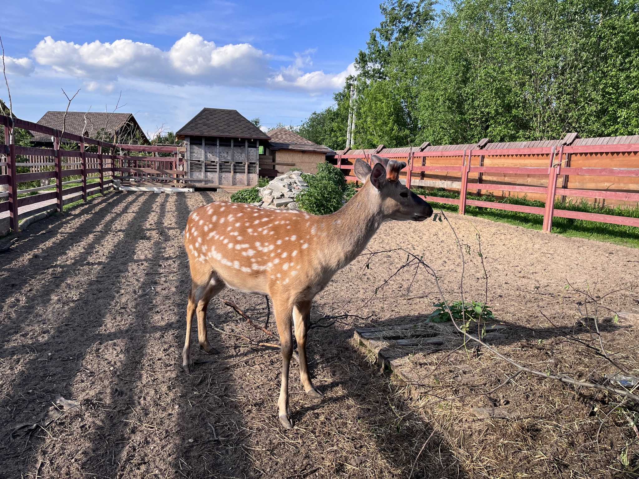 Фото Эко деревня Печки-Лавочки
